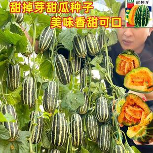 �������ϷN�ӱ�Ƥ��ϻ�Ƥ������ļ�ˮ���N����ϷN�ӽM�ײ�