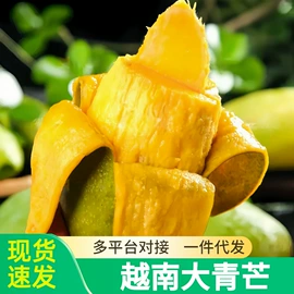 其他蔬菜;其他水果;桃子