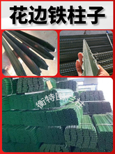 9P1E���ǌ��������F�z�W���������T�F���^�����Ӻ���P������ھW