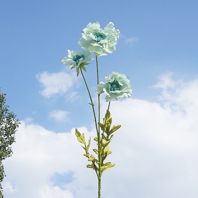 Light blue 065