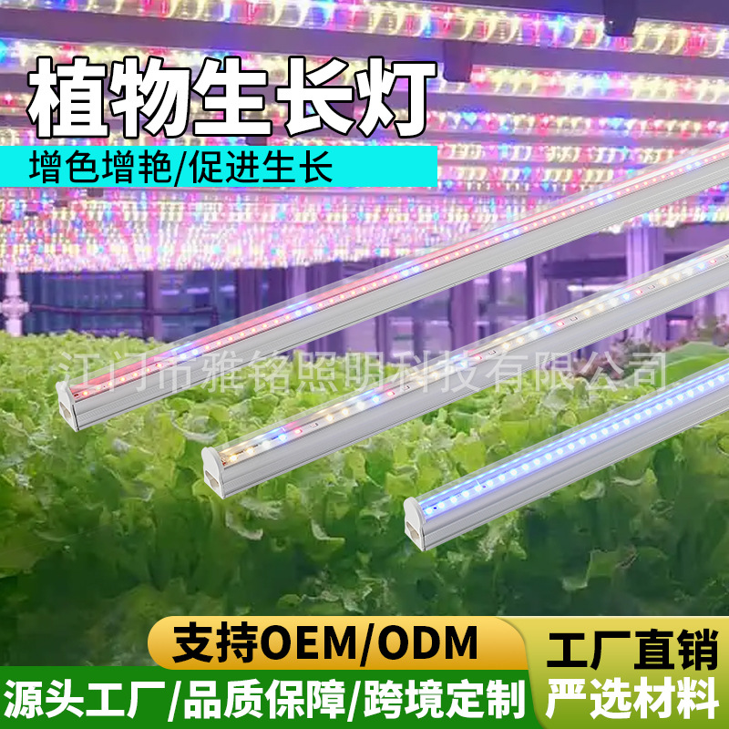 LED植物灯生长灯补光灯组培灯管多肉补光灯蔬菜补光灯灯管全光谱