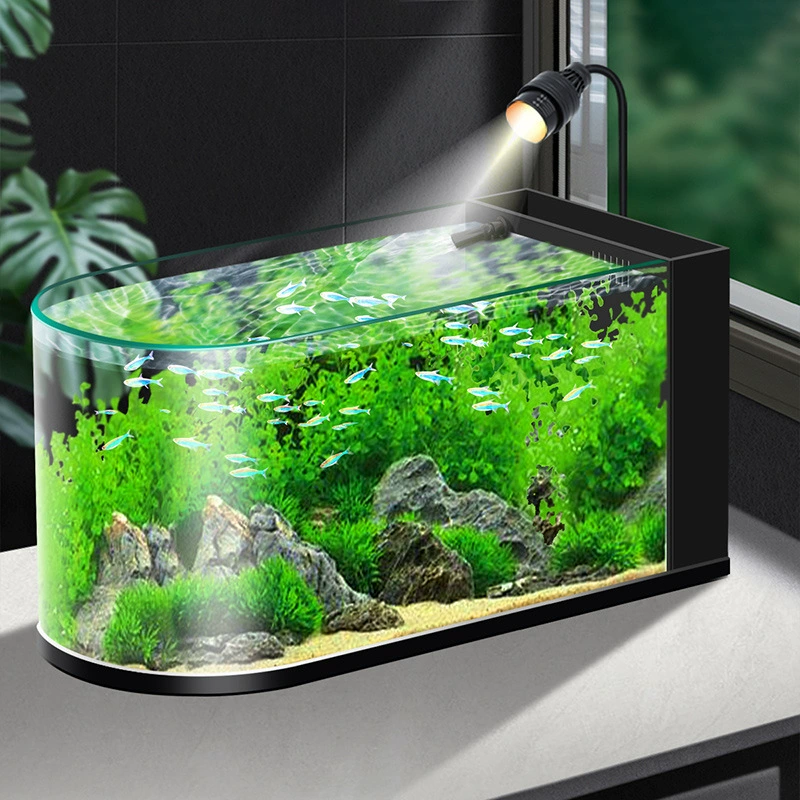 Изогнутый стеклянный аквариум рабочий стол маленький бетта аквариум с золотой рыбкой