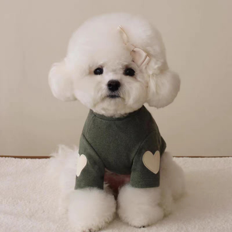 Ropa de mascotas Ropa de perro Ropa de perro Ropa de perro Ventas calientes Ropa de gatos Teddy York Chaubo Virtuoso Otoño Invierno