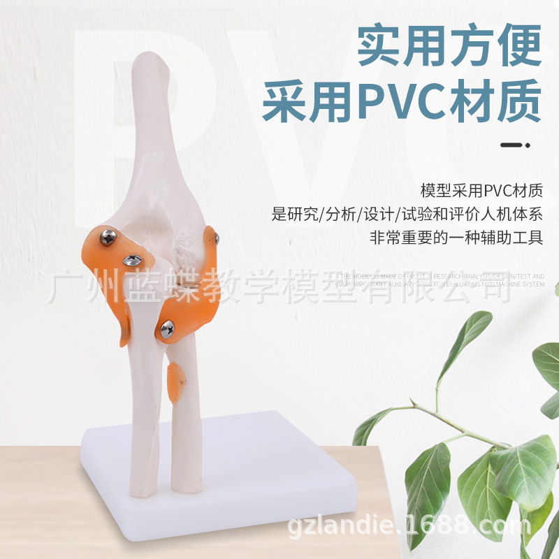 �ؽڹ���ģ�� ������ؽڹ���ģ�� �ؽڹ����걾 ������ؽ�ģ��