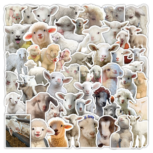 50���ɐ�С���N���ɐی���ܛ�d�d�����b����~��diy�^�� �S�����l
