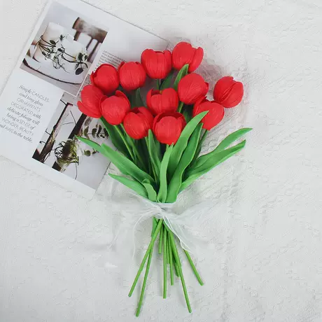 red lantern tulip