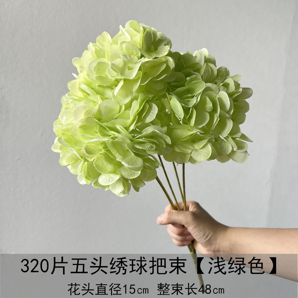 320 ramos de Hortensia de cinco cabezas - verde claro