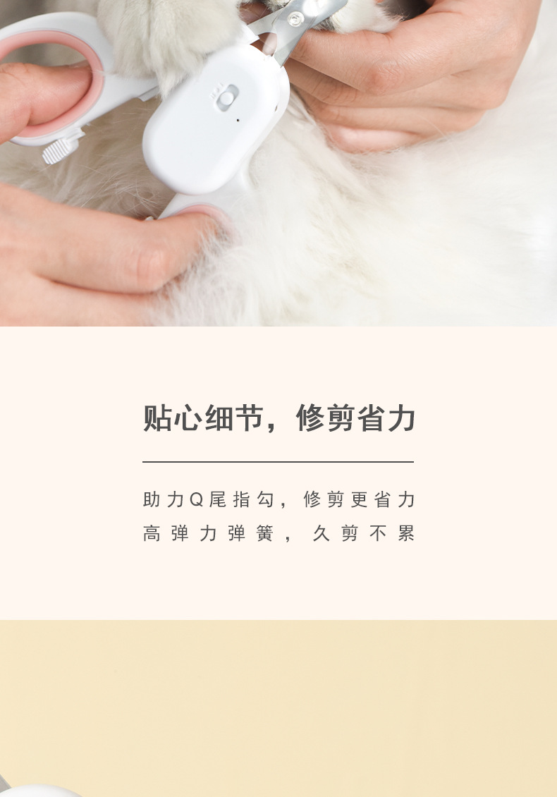 带灯猫剪 (11).jpg