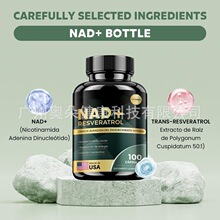 NAD+ ��޼�J���z�������͌�ע�羳����Ʒ���^���uͨtk���羳