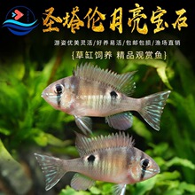 �}����������ʯ��������������B�ݸןᎧ�~�^�p�~���w�~��С���~