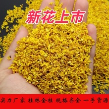 2025新干桂花广西桂林金桂浓香传统烘烤桂花干花散装大货直供