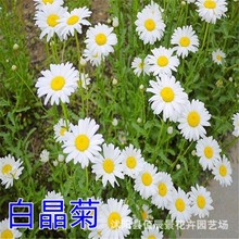 ׾ջNrջN^p̨҃ͥԺ@