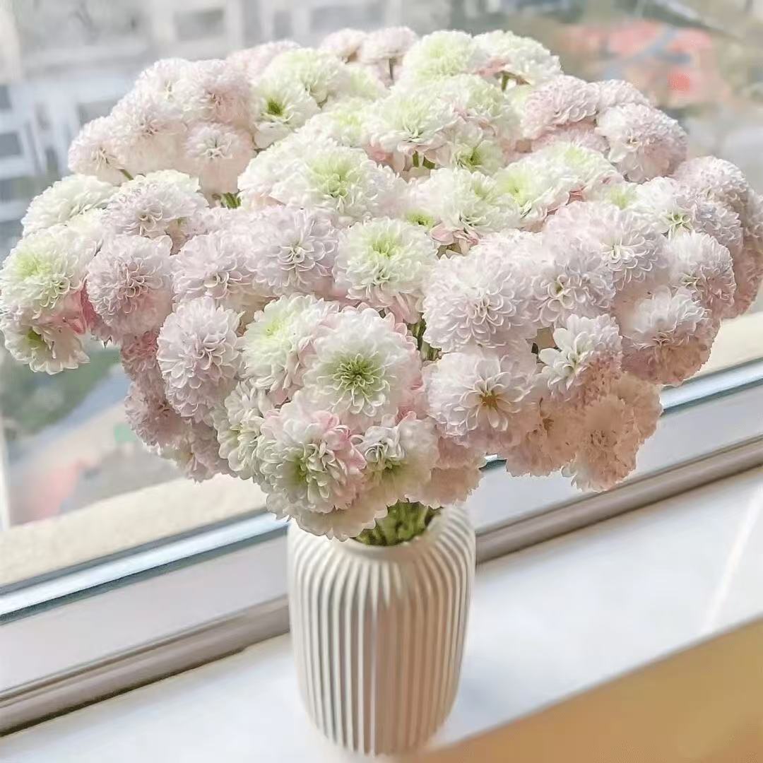 33decc5f8c39a13c9f8f7ce7031277