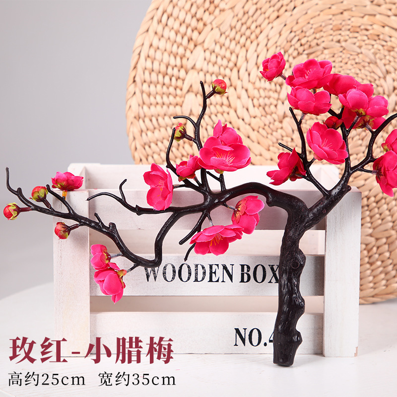 로즈 레드 분재 윈터스윗