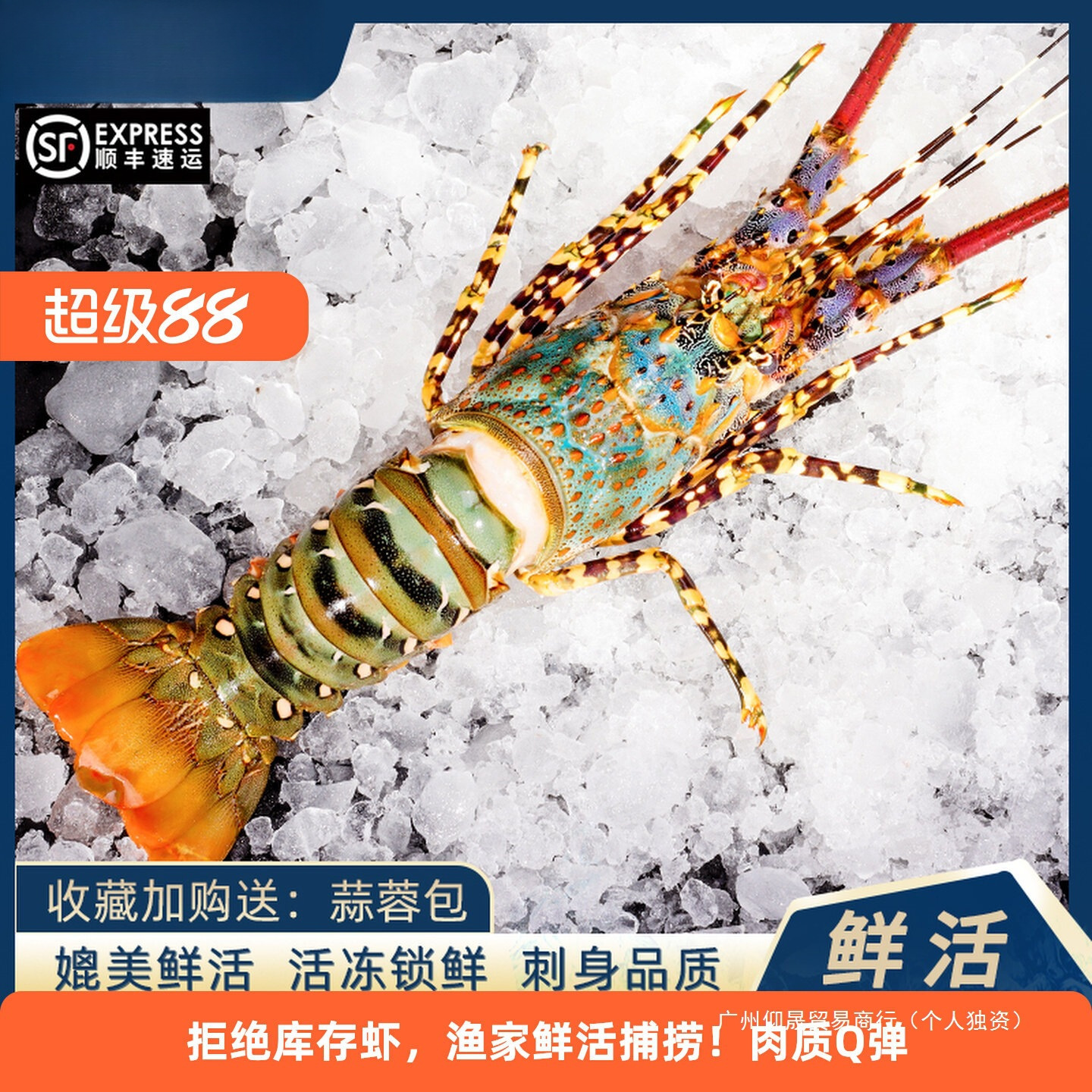 澳洲大龙虾特大3-8斤大花龙鲜活速冻小青龙波龙深水虾海捕鲜水产