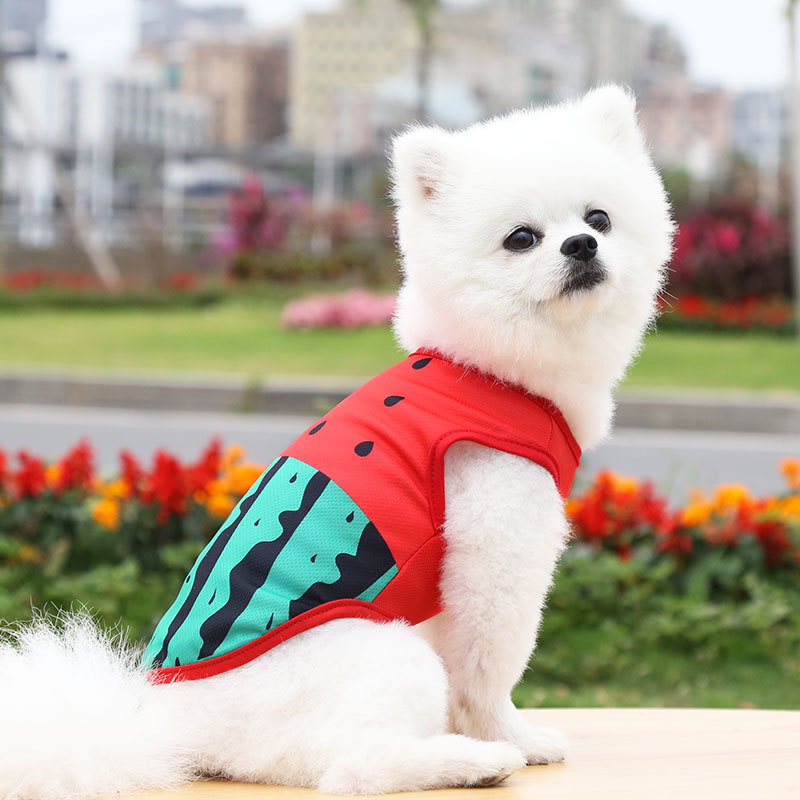 Chaleco Transpirable para Mascotas de Tela, con Protección Solar y Estampado 3D, para Verano