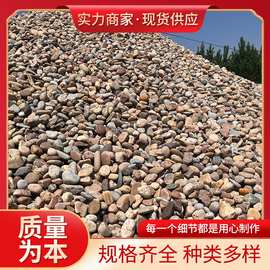 鹅卵石变压器用5-8公分鹅卵石水处理河卵石滤料人头石石子厂家