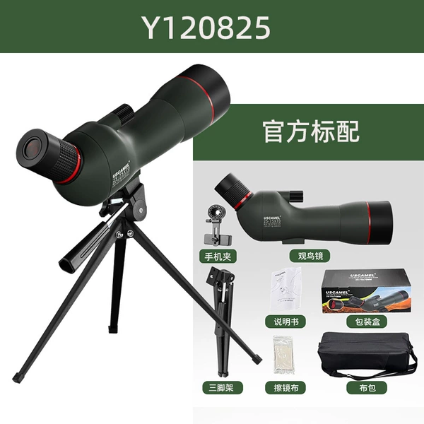 Y120825