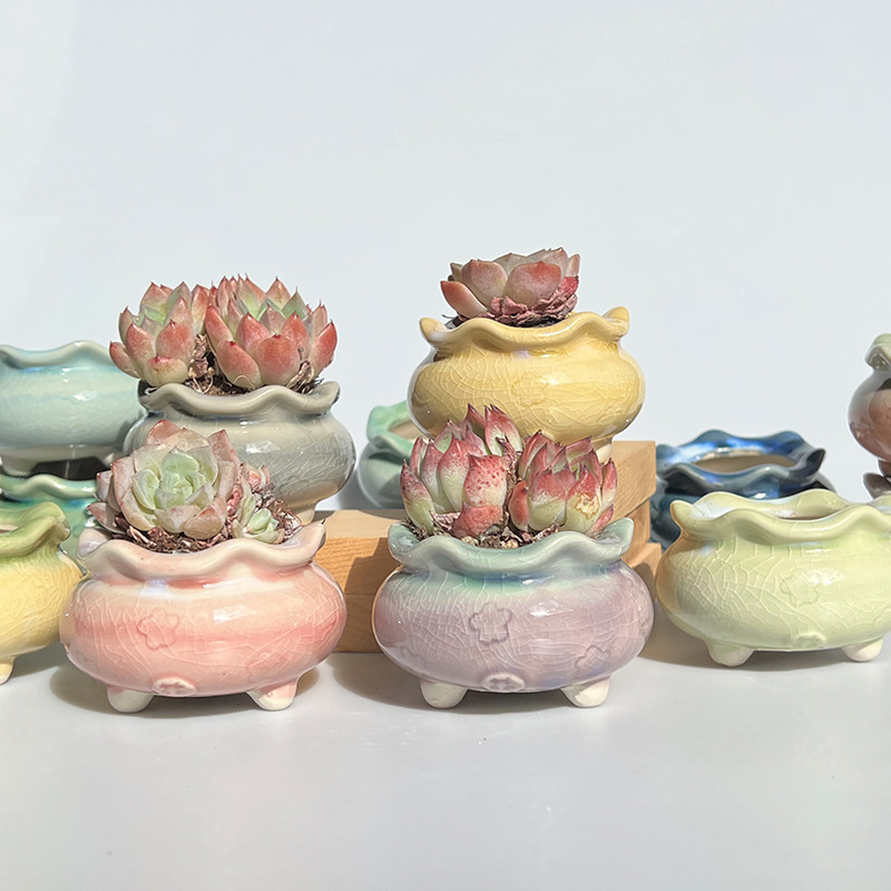 新商品の植木鉢の氷が裂けて虹色が清新で可愛いです。|undefined