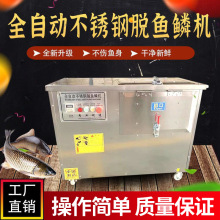 商用全自动不锈钢去鱼鳞机电动刮鱼鳞自动脱鱼鳞机快速去除鱼鳞