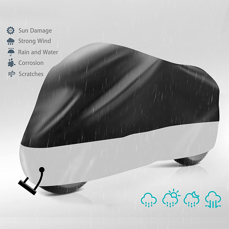 61GzTX83YvL._AC_SL1500_