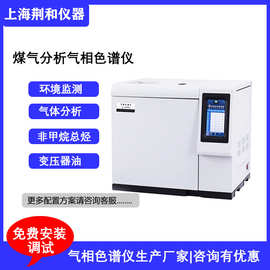 荆和 G51Pro煤气分析气相色谱仪 燃气天然气液化气热值分析仪