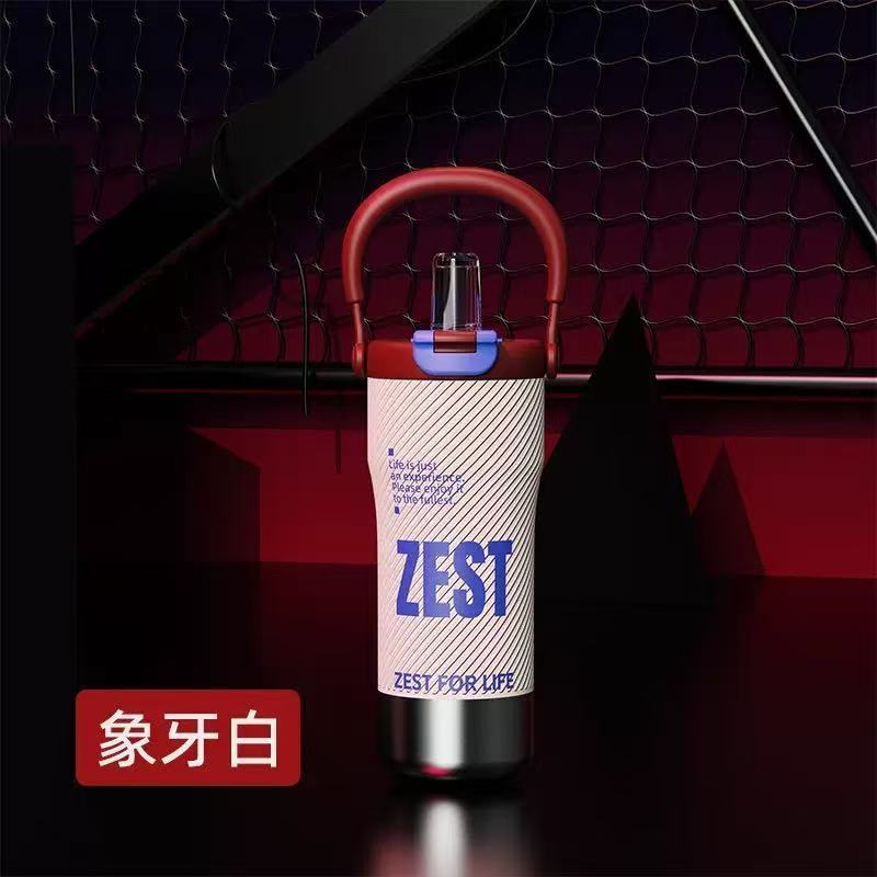 2025新款世大家同款冰霸杯跨境外贸大容量高颜值手提吸管保温杯|undefined