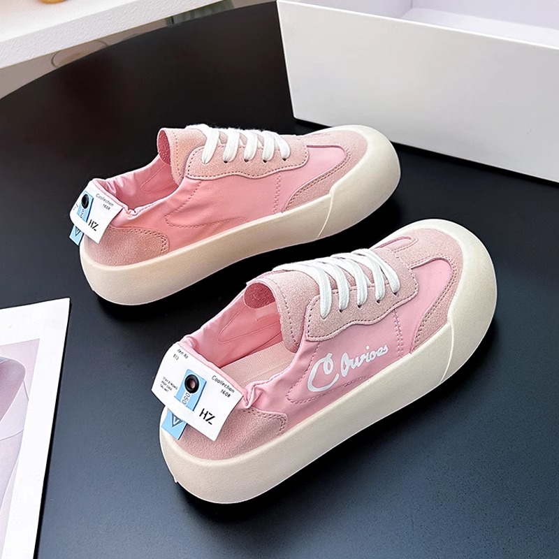 핑크 [메인사진]