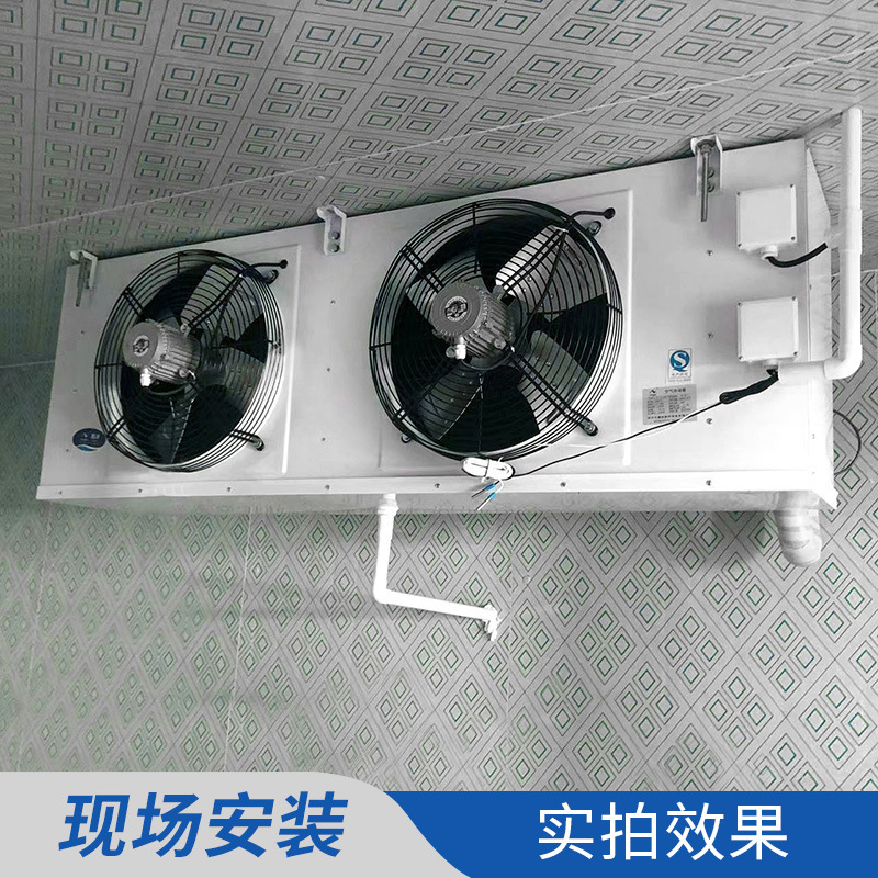 Dl/Dd/Dj Ceiling Air Cooler Evaporator Electrochemical Frost Air Cooler Cold Storage Internal Unit Refrigeration Equipment