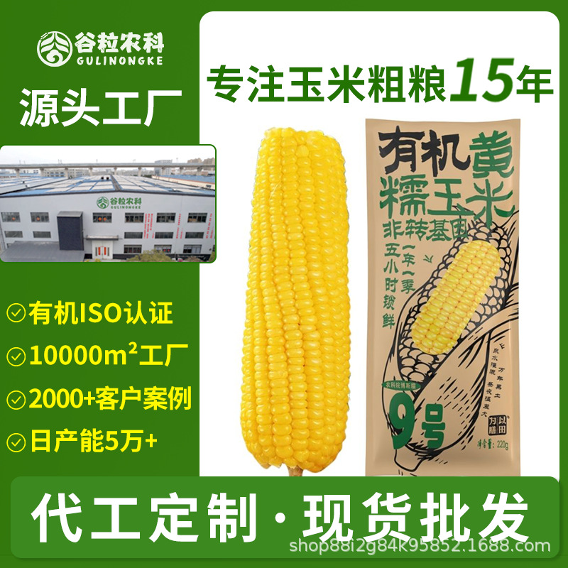 有机玉米黄玉米黄糯玉米新鲜玉米东北非转基因粗粮厂批发代发定制