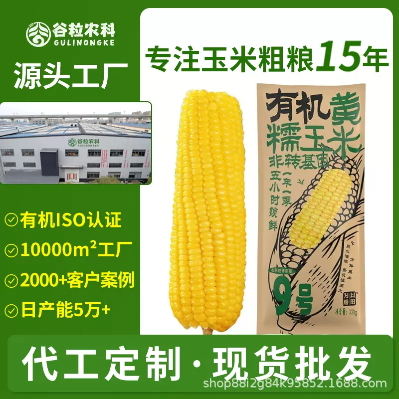 有机黄玉米东北玉米黄糯玉米新鲜玉米真空装非转基因批发代发定制