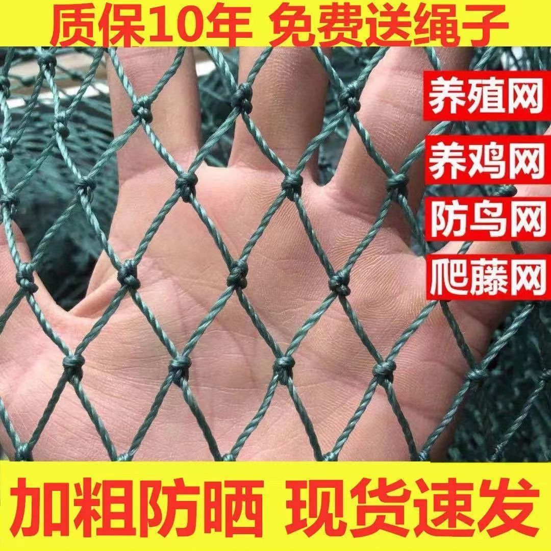 家禽养殖网养鸡网拦鸡鸭网围网山鸡网菜园网