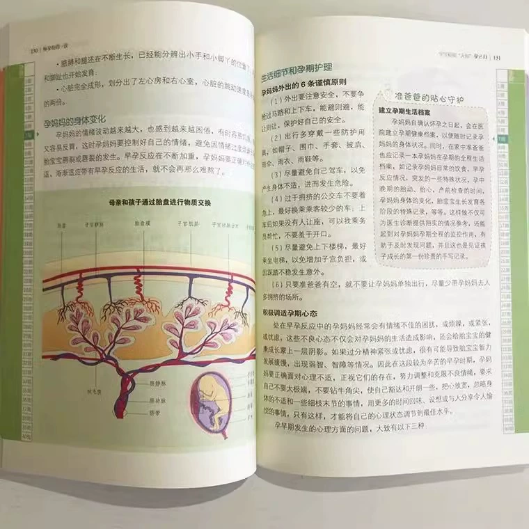 Чтение на каждую неделю для беременных — полная коллекция книг для периода беременности, энциклопедия знаний на десять месяцев и уход за новорождённым