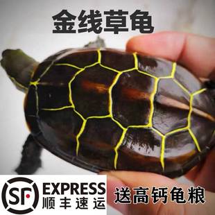 �����K���𾀲��� �L����С�� ���A�����XС��������ϡ��ī��ˮ��