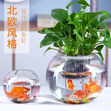 玻璃生态鱼缸金鱼缸水族箱客厅小型桌面乌龟缸创意迷你家用小鱼缸