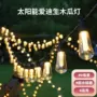 爱迪生圣诞太阳能庭院球泡