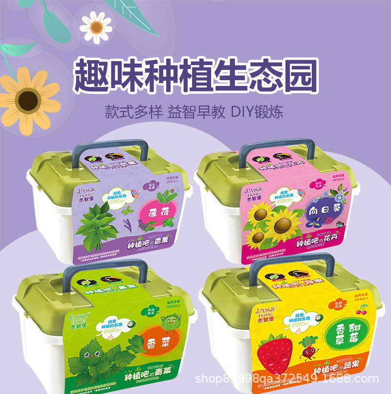 Jardín de infantes tareas de ciencia y educación para niños DIY plantación de plantas verdes plantas de flores en maceta semillas de regalo caja ciega