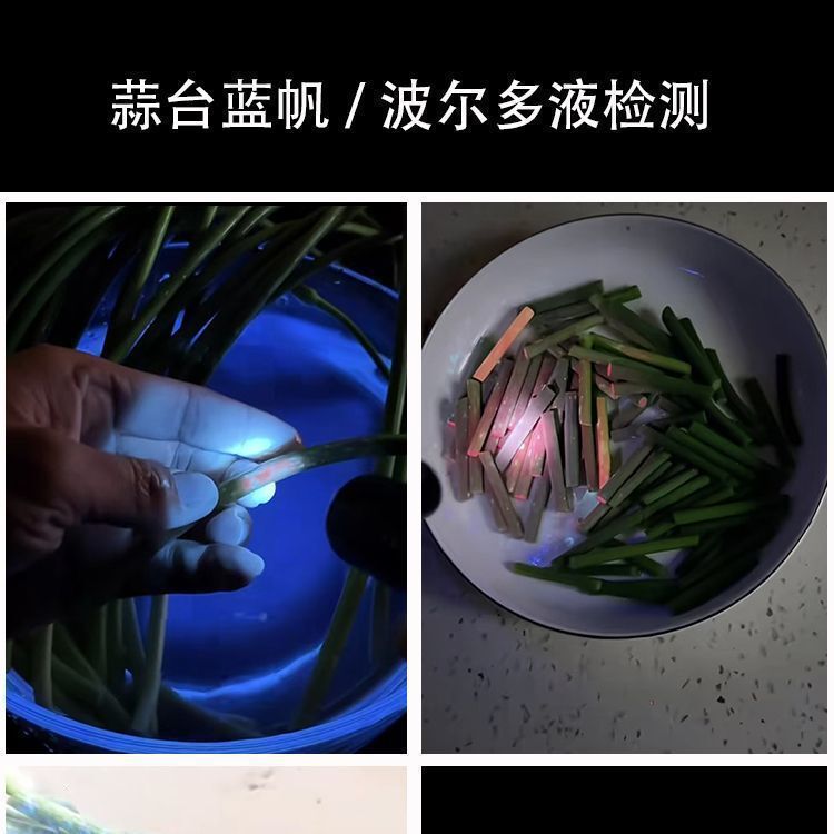蔬菜检测紫光灯鉴定荧光剂波尔多液照菜农残霉菌可充电蓝光灯|undefined