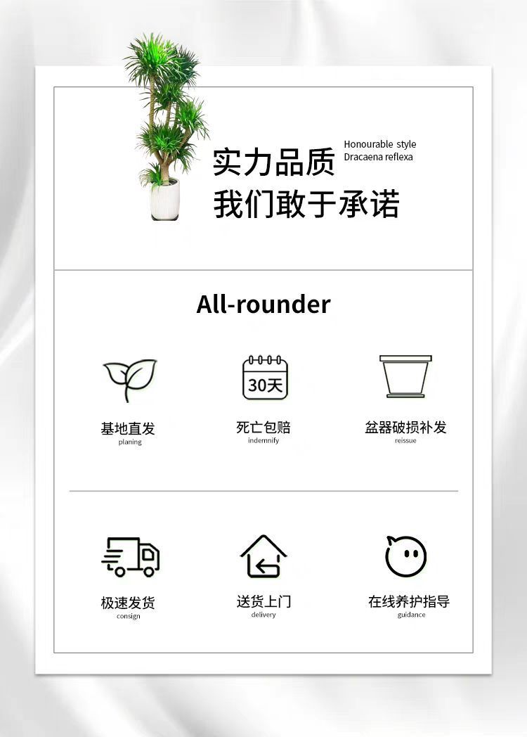 23244388-b44f-4bf9-9793-f1cd18a014c7.png