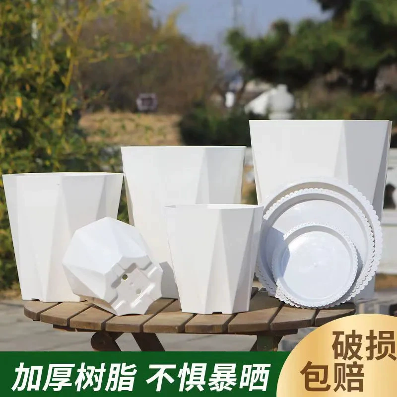 Простой домашний большой цветочный горшок алмаз белый восьмиугольный горшок для обработки