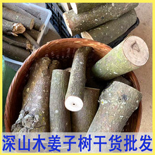 ľ�������lľ���Ә������{ζľ���Ә��֦�ɴּ����x��؛�ɴ��l