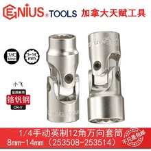 GENIUS���x�ք�12���f����Ͳ���ֹ���Ӣ�ƻ�����Dʮ�����f��