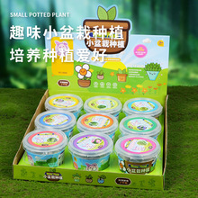 СWһ꼉ƌWbСԷNֲֲN