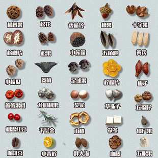 ���hdiy���ϰ��������ɻ��ɹ�ֲ��ݱ����diy���ϰ�