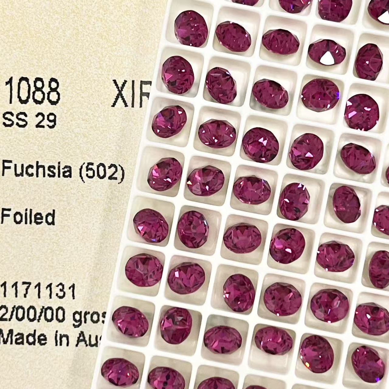 502 드래곤 과일