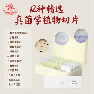 12�N���x����ֲ����Ƭ��ù��ù��ù���ľ���`֥�߽̽̌W��Ƭ