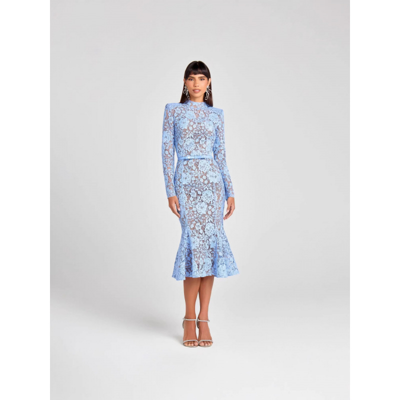 Cross-border evening dress, new foreign trade model, European and American lace long dress, see-through hollow-out fishtail dress, slim-fit long-sleeve dress Cross-border evening dress, new foreign trade model, European and American lace long dress, see-through hollow-out fishtail dress, slim-fit long-sleeve dress