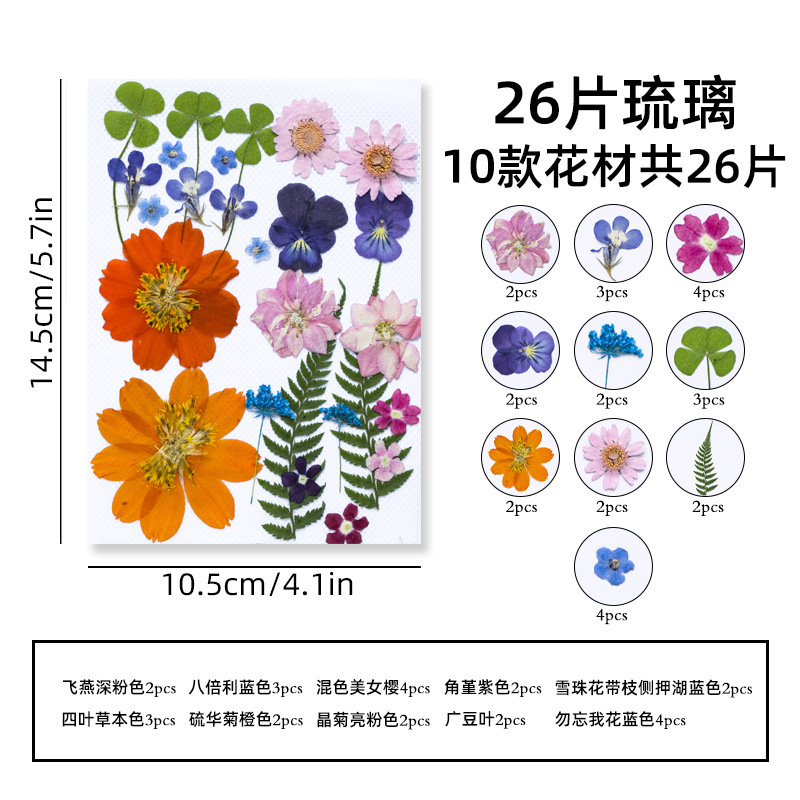 Marcapáginas de flores secas, material artesanal hecho a mano, colección infantil de otoño, libro en la botella, espécimen de hoja transparente, película de sellado de plástico