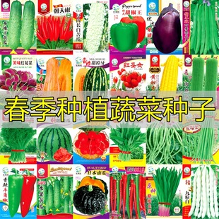 rҲˈ@Nֲ˷NӲʴؔSˮ߲˷NӴȫSl