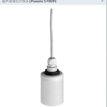 E+H����˹��˹ FDU91-RG2AA FDU91-RG1AA������������Һλ��̽ͷ